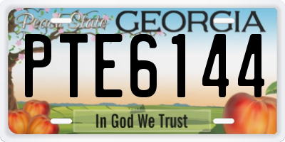 GA license plate PTE6144