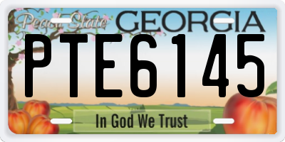 GA license plate PTE6145