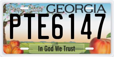 GA license plate PTE6147