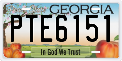GA license plate PTE6151