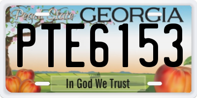 GA license plate PTE6153