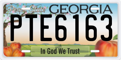 GA license plate PTE6163