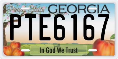 GA license plate PTE6167
