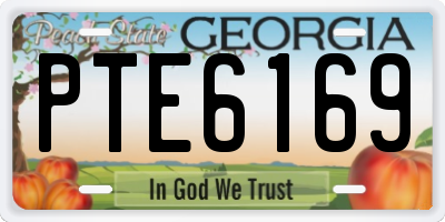 GA license plate PTE6169