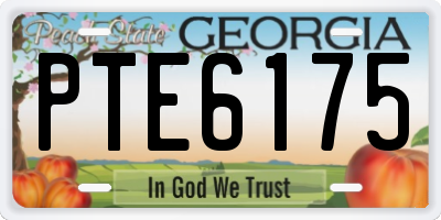 GA license plate PTE6175