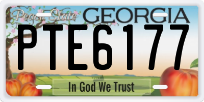 GA license plate PTE6177