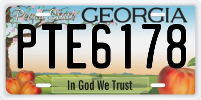 GA license plate PTE6178