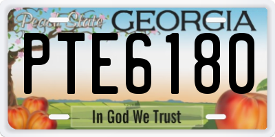 GA license plate PTE6180
