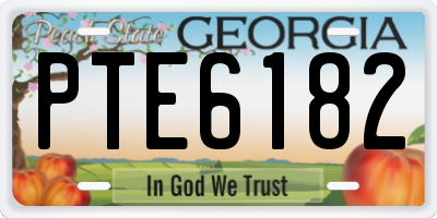 GA license plate PTE6182