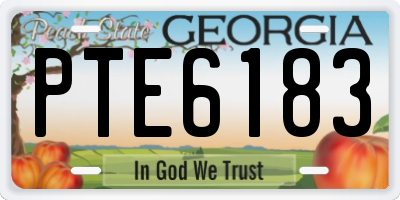 GA license plate PTE6183