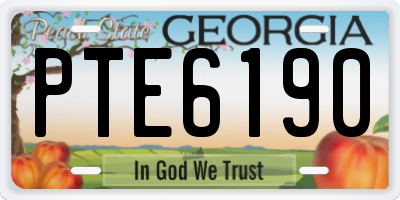 GA license plate PTE6190