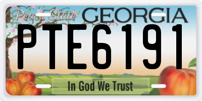 GA license plate PTE6191