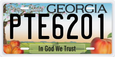 GA license plate PTE6201