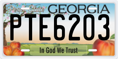 GA license plate PTE6203