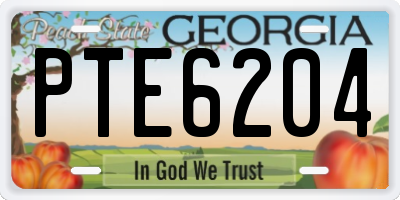 GA license plate PTE6204