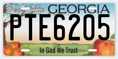GA license plate PTE6205