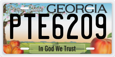 GA license plate PTE6209