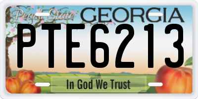 GA license plate PTE6213