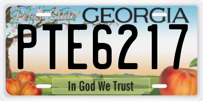GA license plate PTE6217