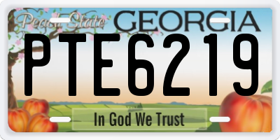 GA license plate PTE6219