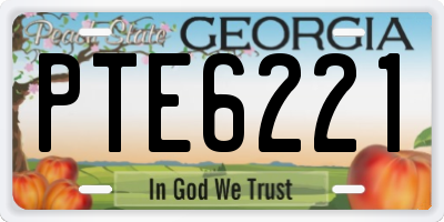 GA license plate PTE6221