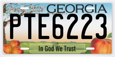 GA license plate PTE6223