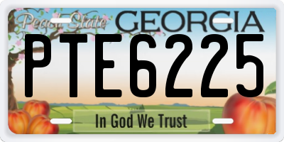 GA license plate PTE6225