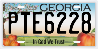 GA license plate PTE6228