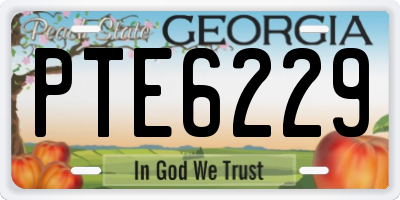 GA license plate PTE6229