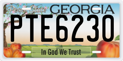 GA license plate PTE6230