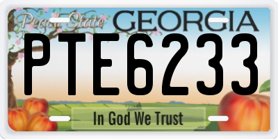 GA license plate PTE6233