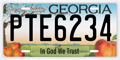 GA license plate PTE6234