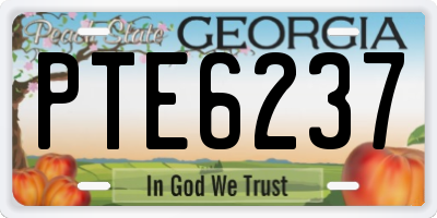 GA license plate PTE6237
