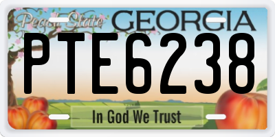 GA license plate PTE6238