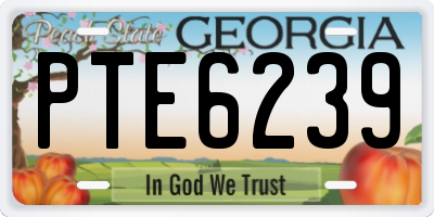GA license plate PTE6239