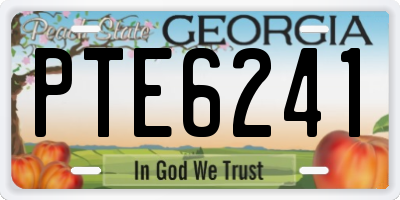 GA license plate PTE6241