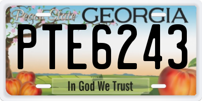 GA license plate PTE6243