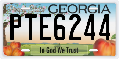 GA license plate PTE6244