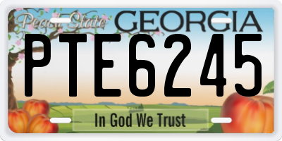GA license plate PTE6245