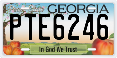 GA license plate PTE6246