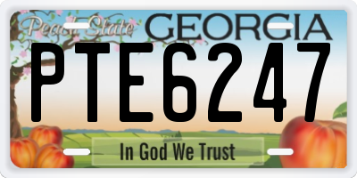 GA license plate PTE6247