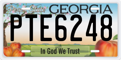 GA license plate PTE6248