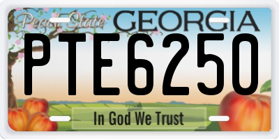 GA license plate PTE6250