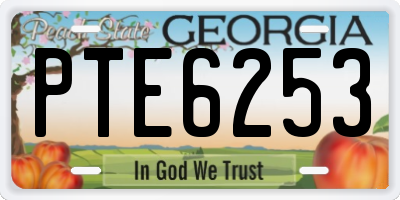 GA license plate PTE6253