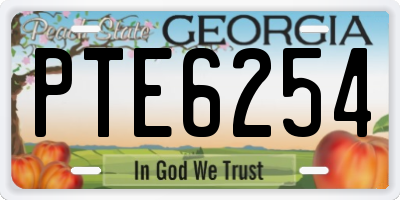 GA license plate PTE6254