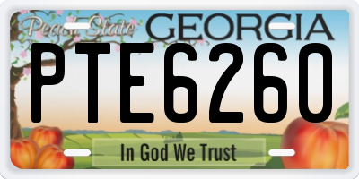 GA license plate PTE6260