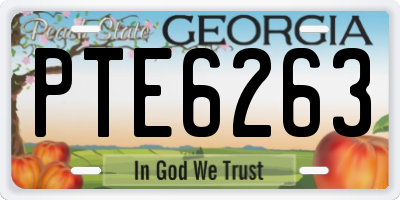 GA license plate PTE6263