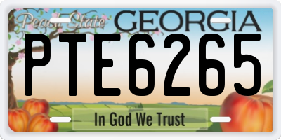 GA license plate PTE6265