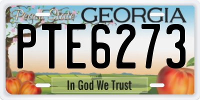 GA license plate PTE6273