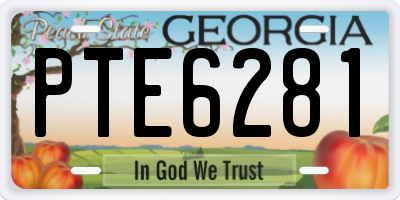 GA license plate PTE6281